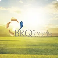GRUPO BRQ ALIMENTOS