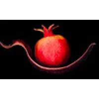 Fine Art Photography