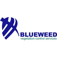 Blueweed Vegetation Control Services