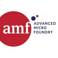 Advanced Micro Foundry