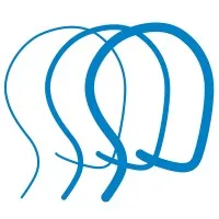 Brain Injury Association of America