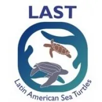 Latin American Sea Turtles