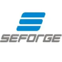SEFORGE LTD INDIA