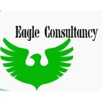 Eagle Consulting