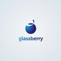 The Glassberry IT Solutions Pvt. Ltd.