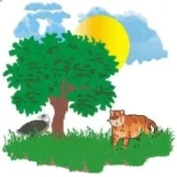 Environmental Conservation Club (FUTA)