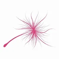 Windflower Resorts & Spa