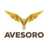 Avesoro Holdings