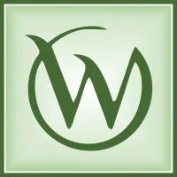 Web Mingo IT Solutions Pvt. Ltd.