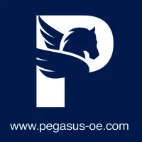 Pegasus Operational Excellence