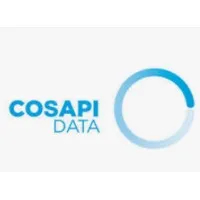 Cosapi Data