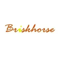 Briskhorse Intelligence