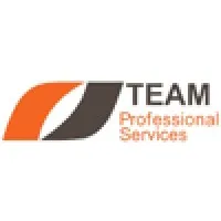 TEAM Professional Services
