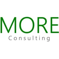 MORE Consulting #WeBringMORE