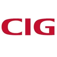 Cambridge Industries Group