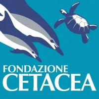 Fondazione Cetacea