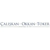 Çalışkan Okkan Toker