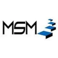 MSM Security Services LLC