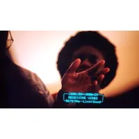 Freelance Videographer