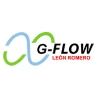 G-Flow
