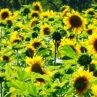 Inspiring Partnerships