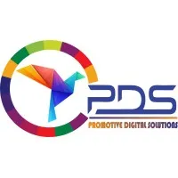 Promotive Digital Solutions - Digital Marketing Agency in Noida