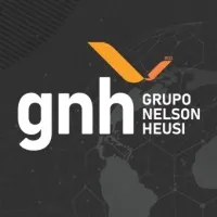 Grupo Nelson Heusi