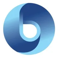 Blue Ocean Marine and Offshore Solutions Inc.