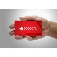 SEOPERU S.A.C