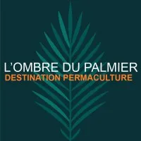 L'ombre du palmier