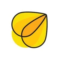 Insurance of the Carolinas