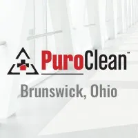 PuroClean Professional Services