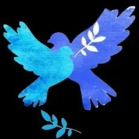 Peace Society, Jesus and Mary College