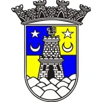 SU Sintrense - Futebol, SAD