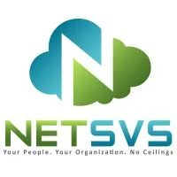 Net Synergy Virtual Solutions