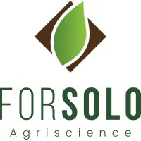 Forsolo