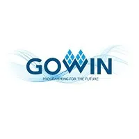 高云半导体 Gowin Semiconductor Corp