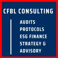 CFBL Consulting (C-F Business Links)