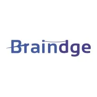 Braindge