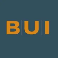 BUI - Microsoft Gold and Azure Expert MSP Partner