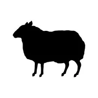 BBH Asia Pacific (Singapore)