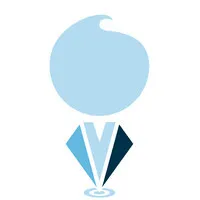 The Young Consultant