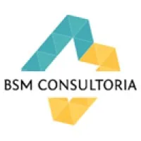 BSM Consultoria