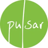 Pulsar Production