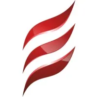 Junior ESSEC Conseil