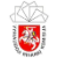 The Central Electoral Commission Of The Republic Of Lithuania