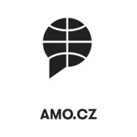 AMO - Association for International Affairs