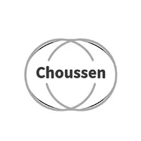 Luren Precision Chicago Co., Ltd.