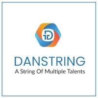 Danstring Technologies - Best Digital Marketing & Web Design Company