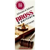 Bross & Partners Law Firm